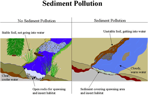sediment pollution